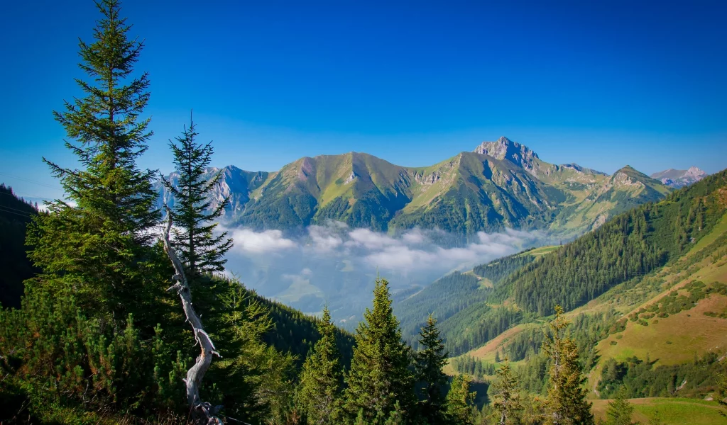 пейзаж, природа, красота