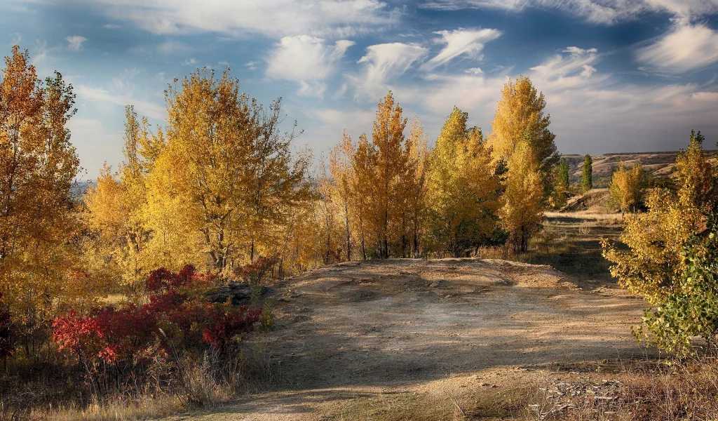 пейзаж, природа, красота