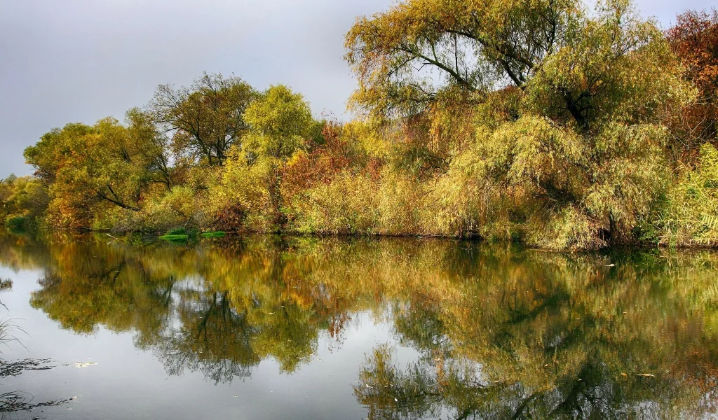пейзаж, природа, красота