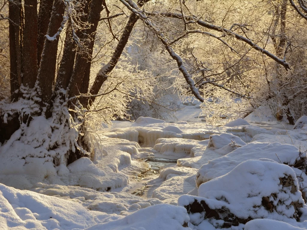 пейзаж, природа, красота