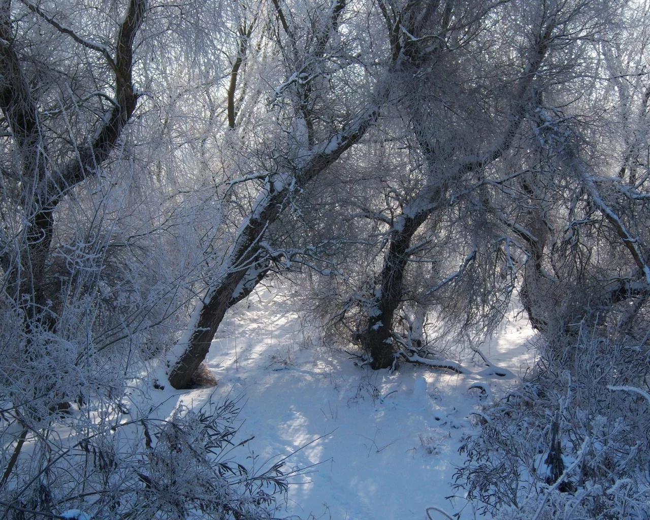 пейзаж, природа, красота, mamala