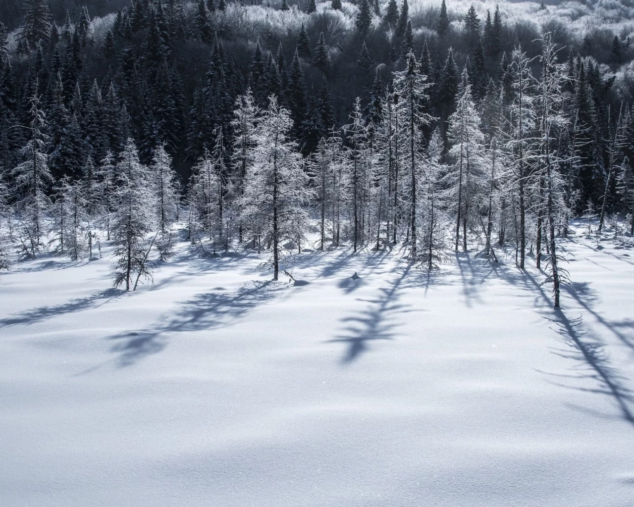 пейзаж, природа, красота