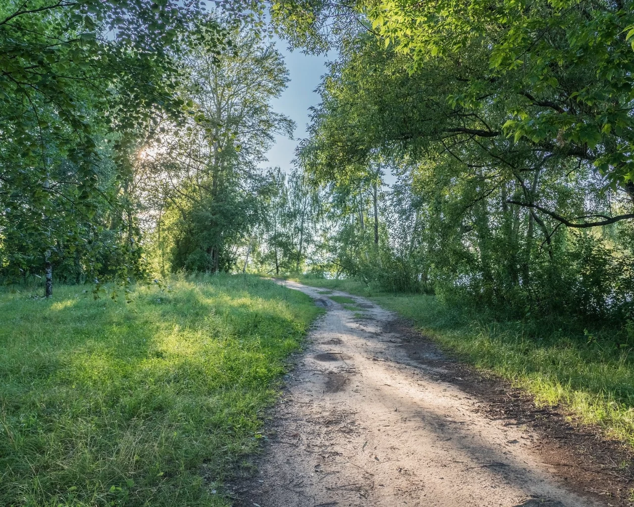 пейзаж, природа, красота