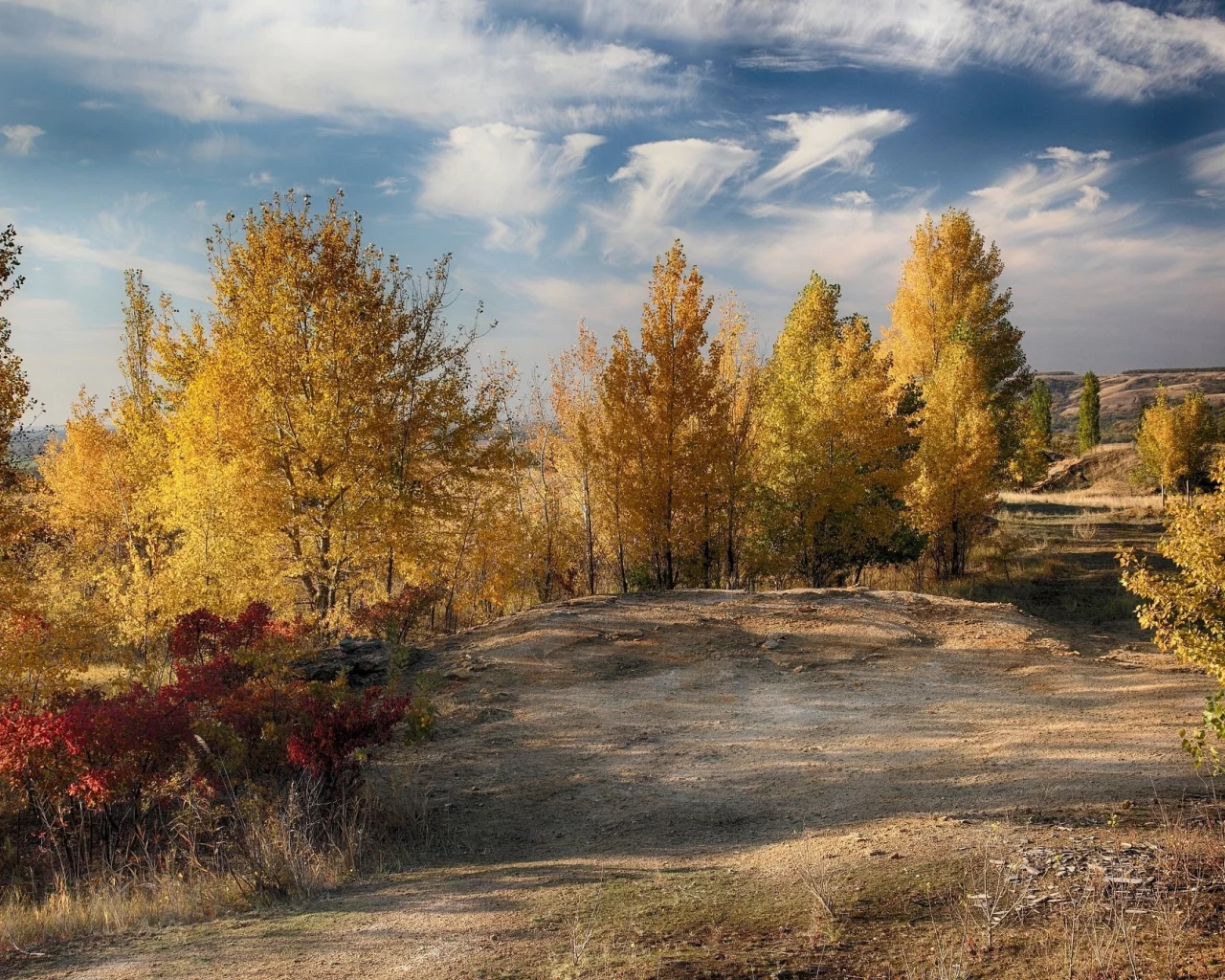 пейзаж, природа, красота