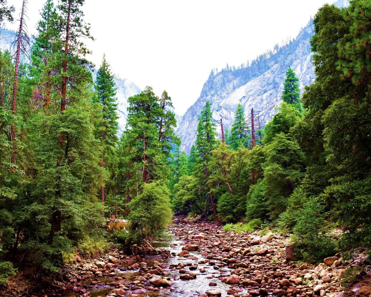 пейзаж, природа, красота