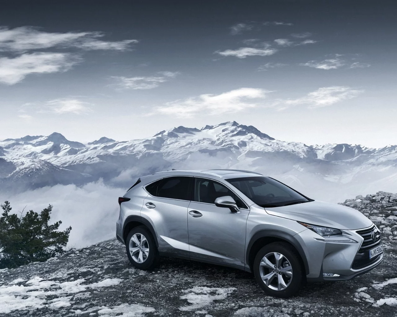 авто, лексус nx