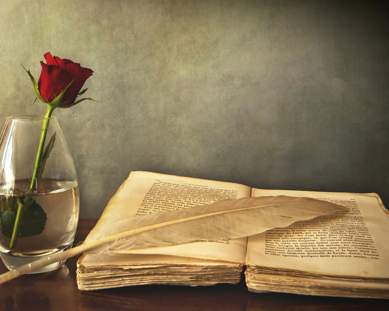 цветок, перо, книга