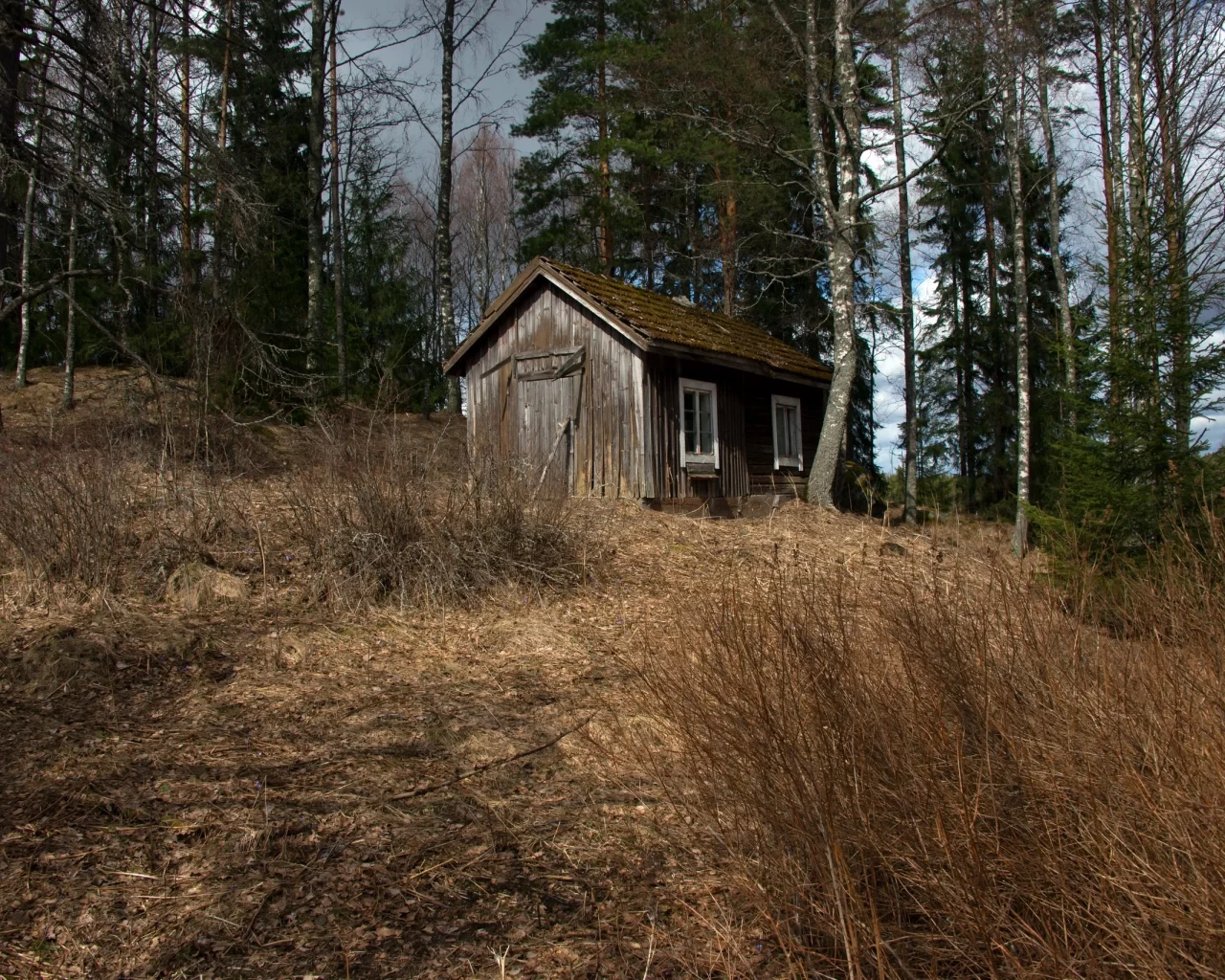дом, лес
