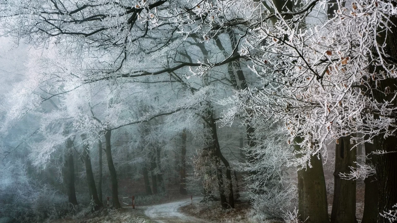 пейзаж, природа, красота