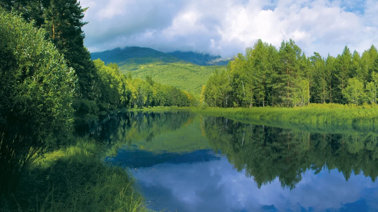 река, деревья, лес, горы