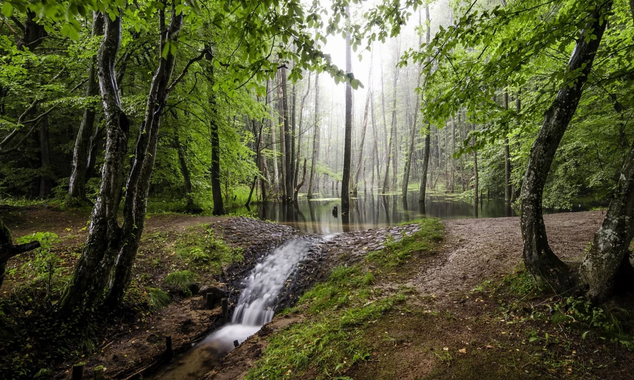 пейзаж, природа, красота