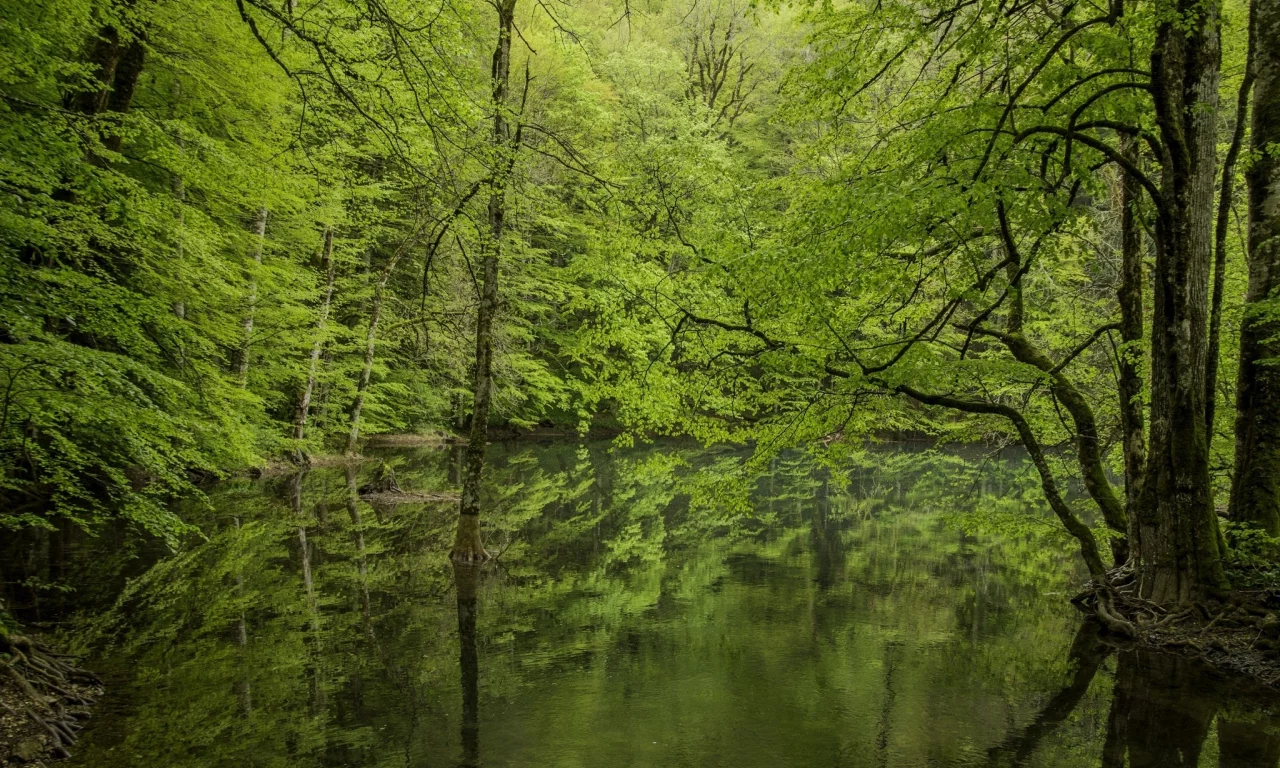 пейзаж, природа, красота