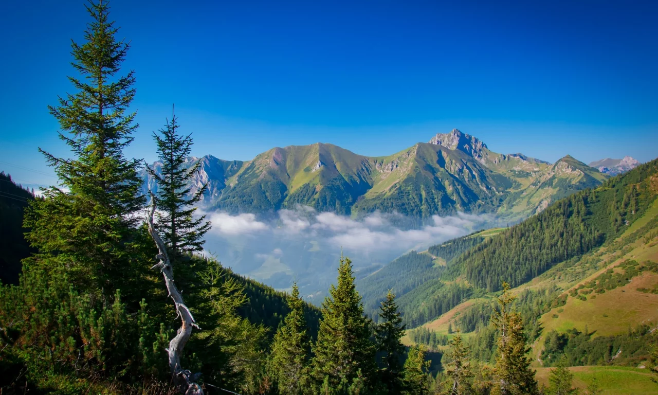 пейзаж, природа, красота
