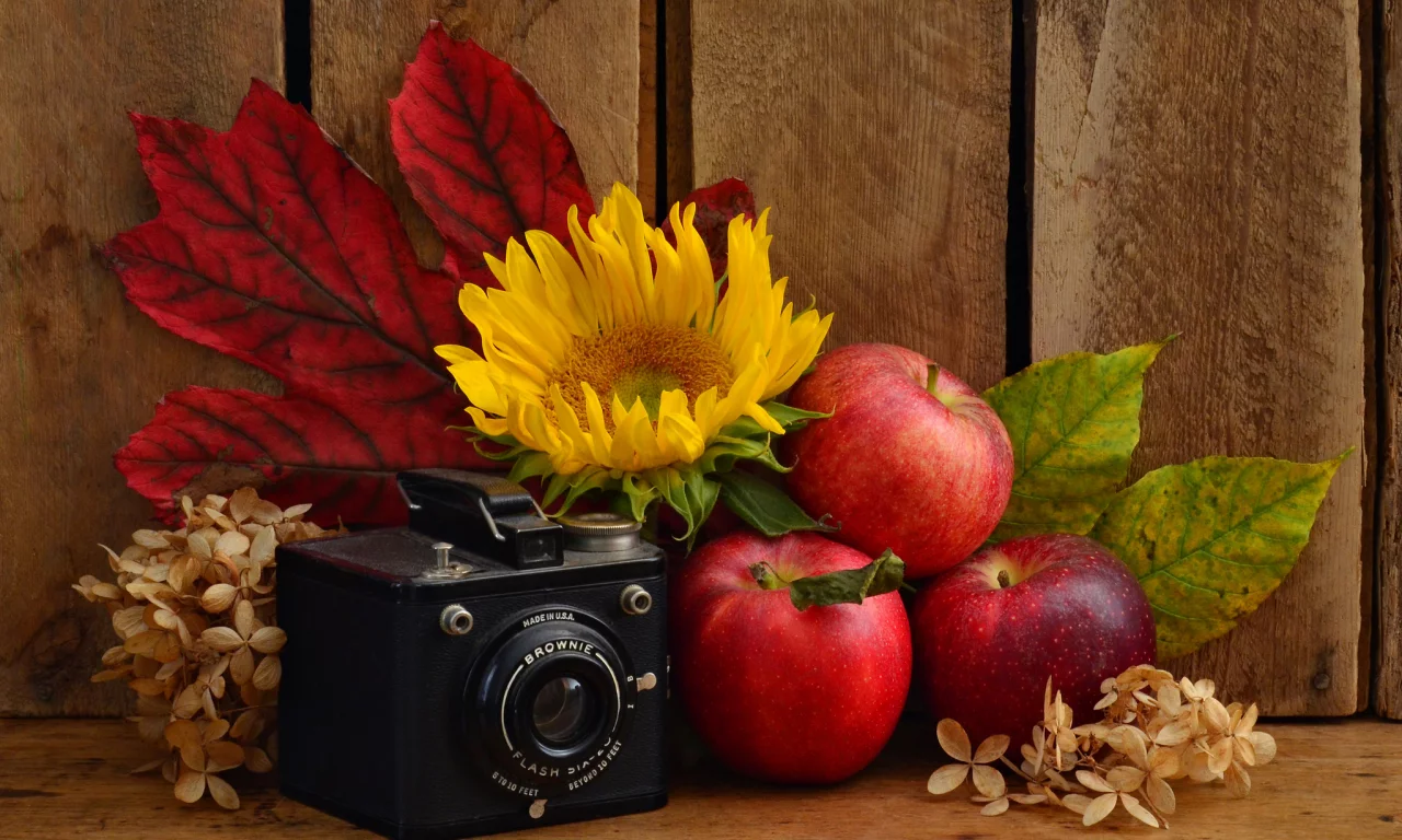 цветы, фрукты, фотоаппарат