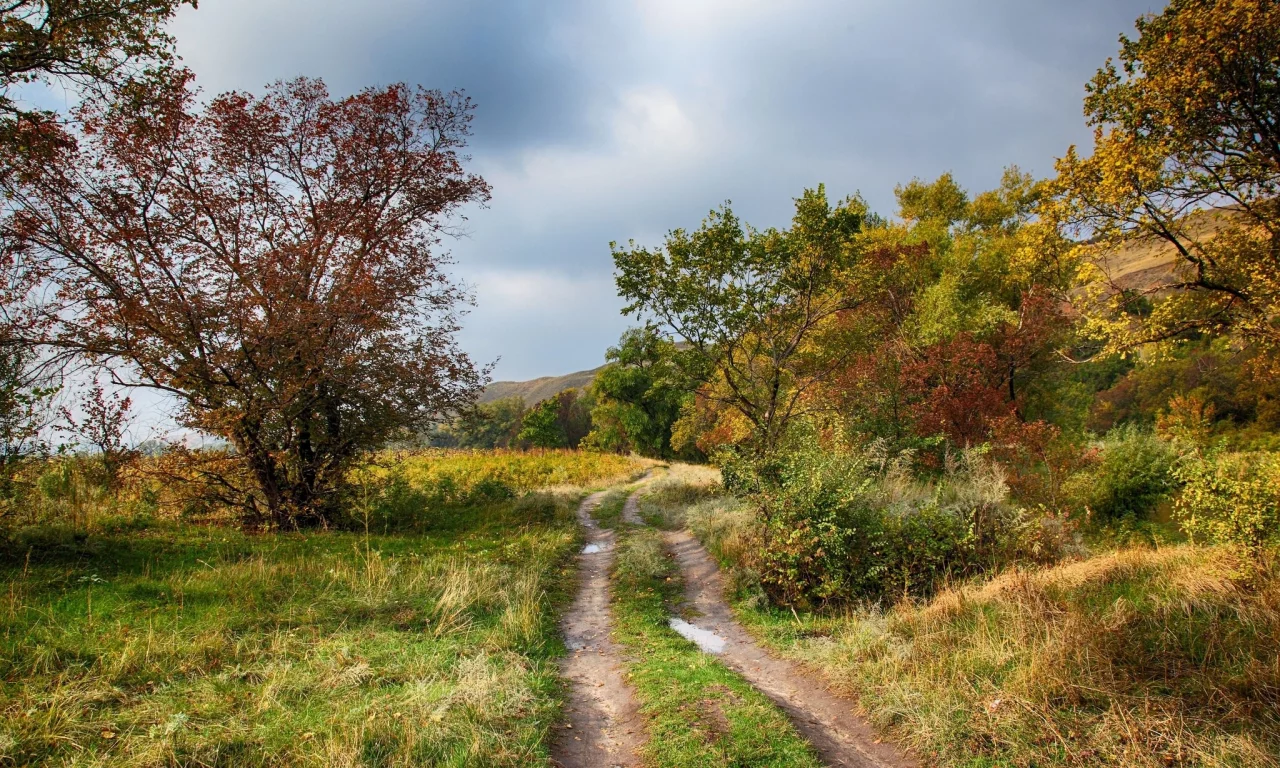 пейзаж, природа, красота