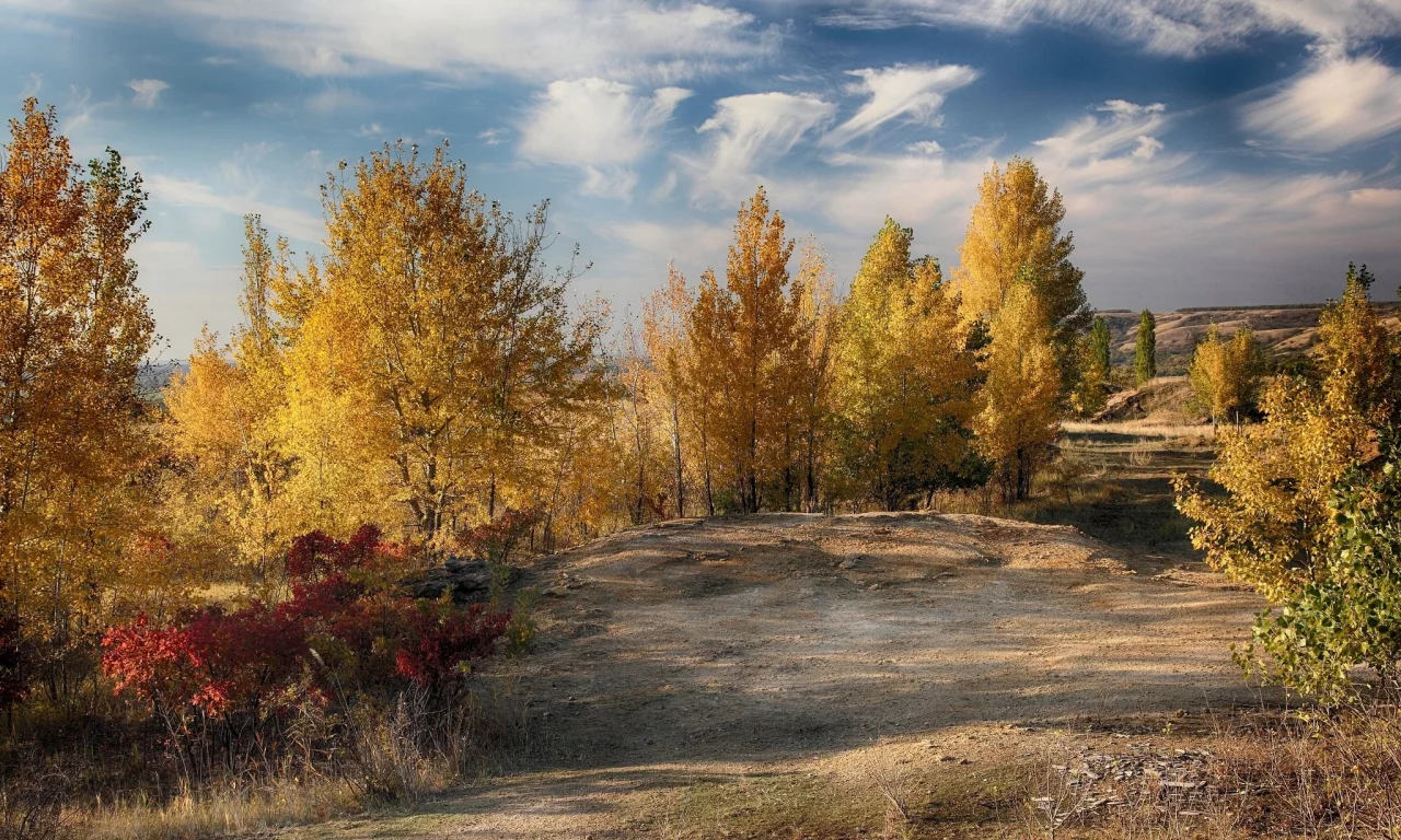 пейзаж, природа, красота