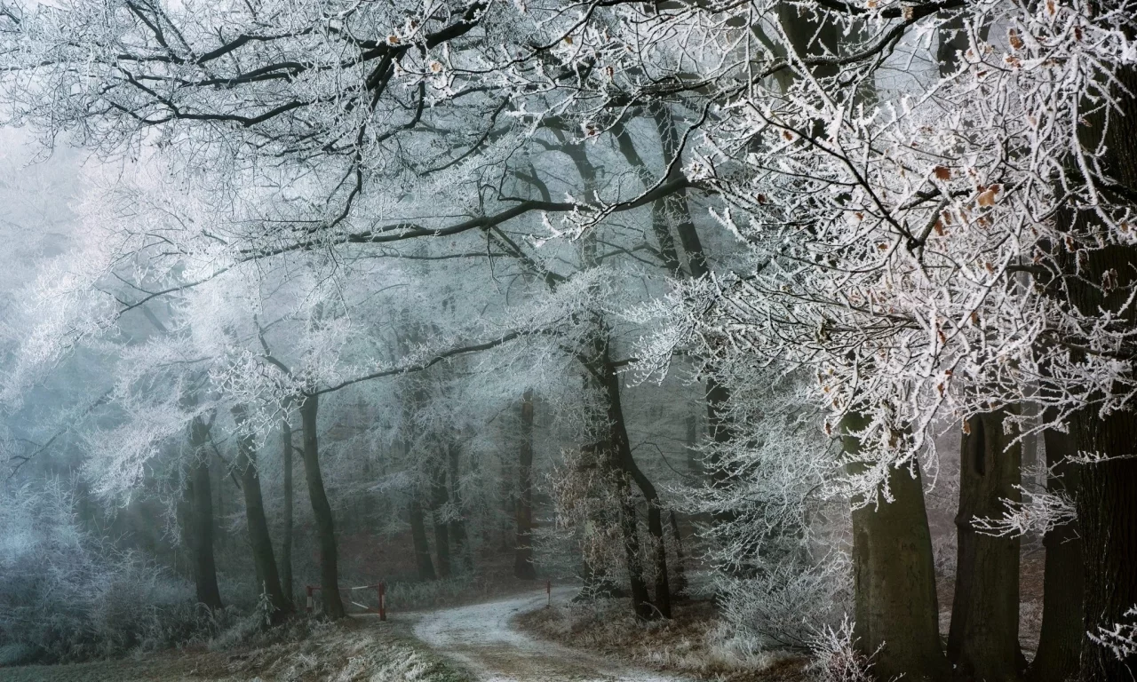пейзаж, природа, красота