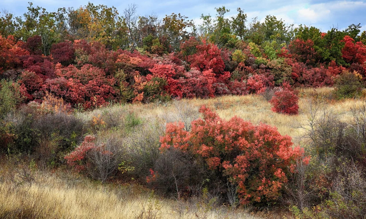 пейзаж, природа, красота