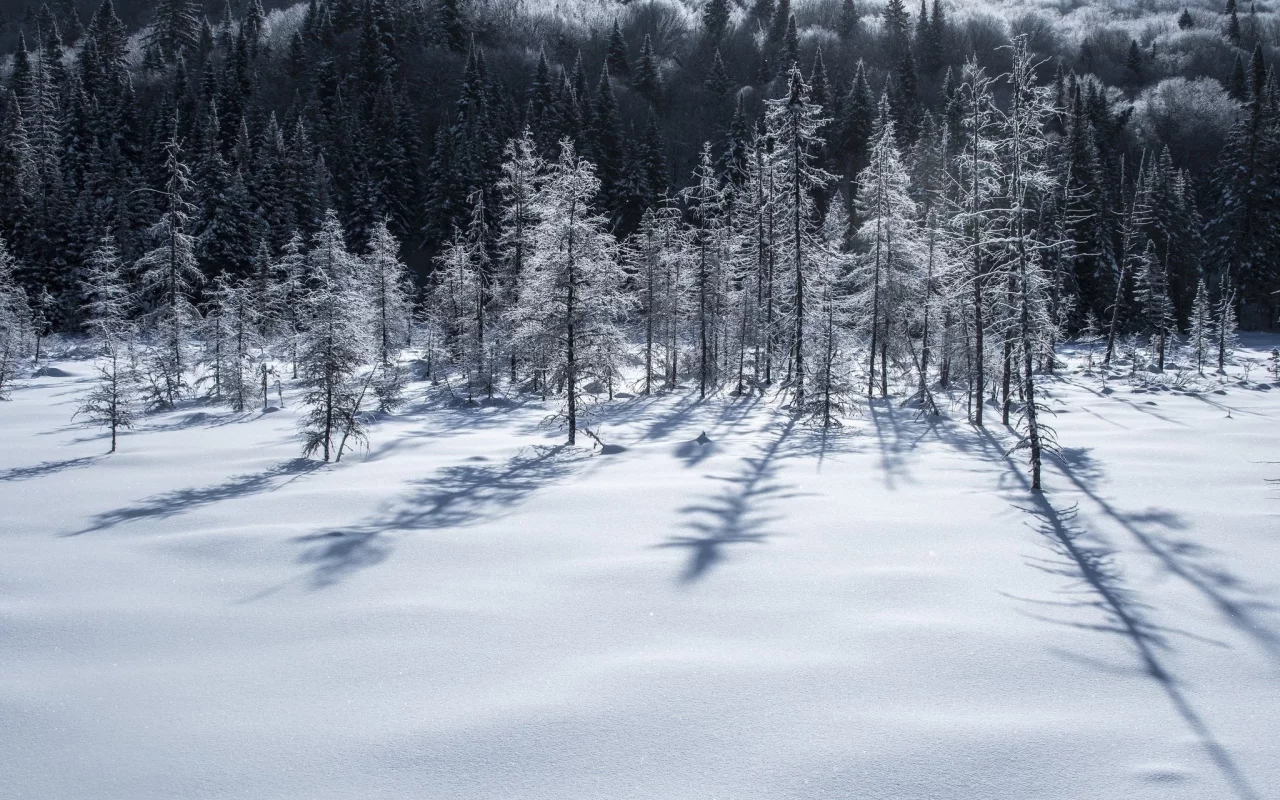 пейзаж, природа, красота