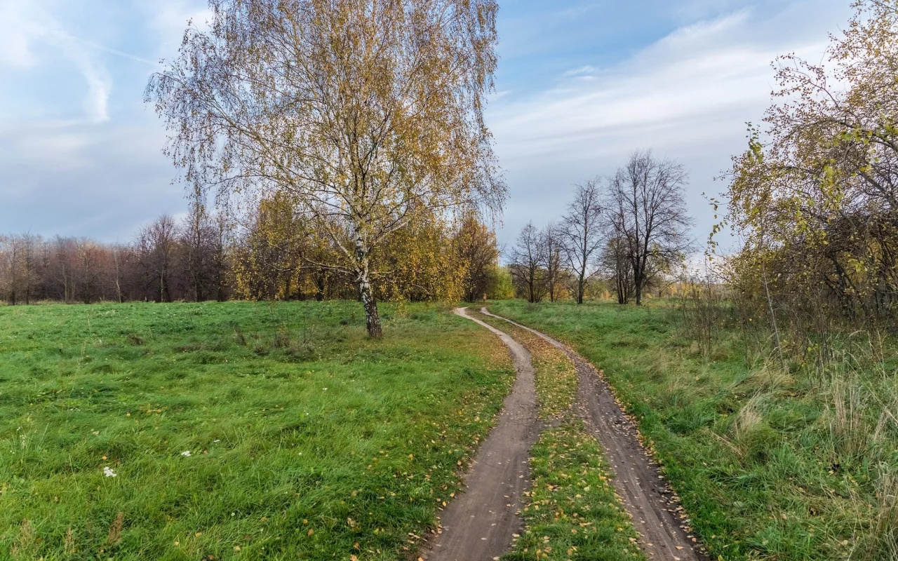 пейзаж, природа, красота