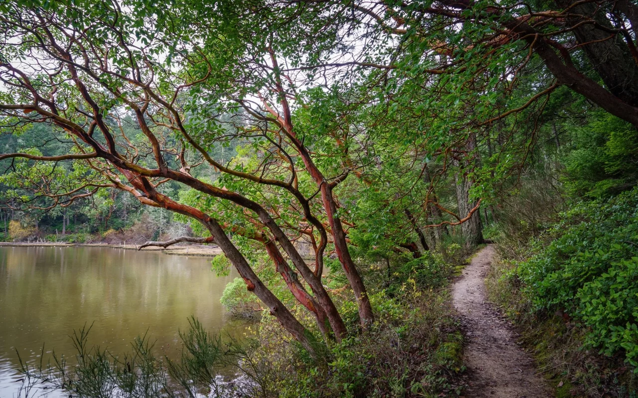 пейзаж, природа, красота
