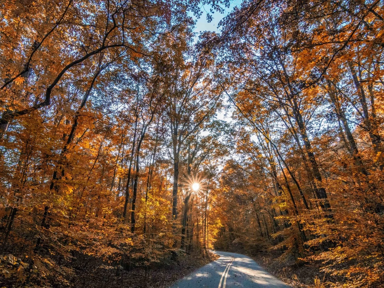 пейзаж, природа, красота