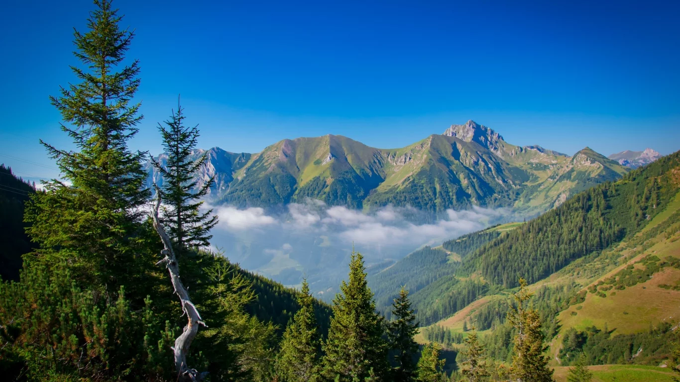 пейзаж, природа, красота