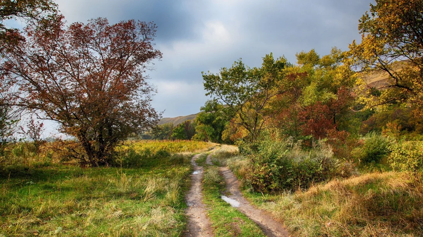 пейзаж, природа, красота