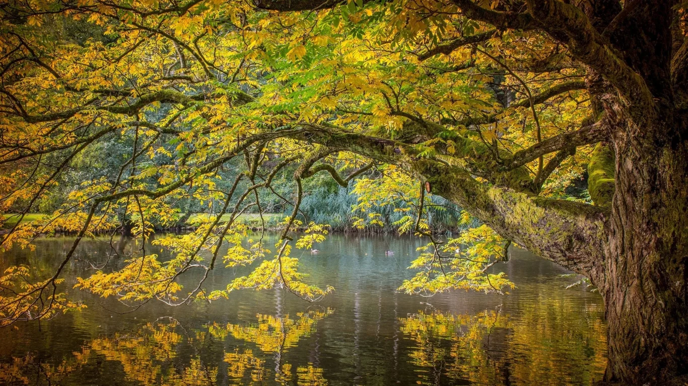 пейзаж, природа, красота