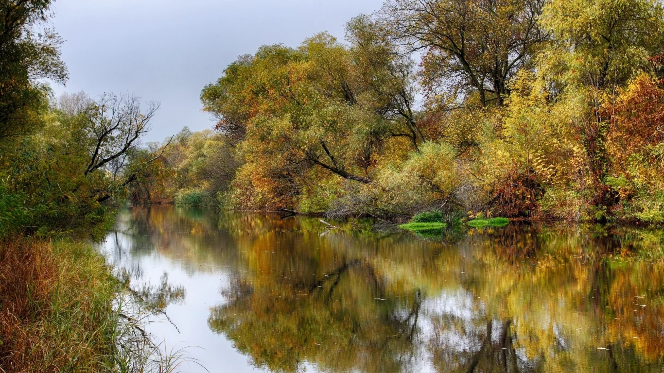 пейзаж, природа, красота