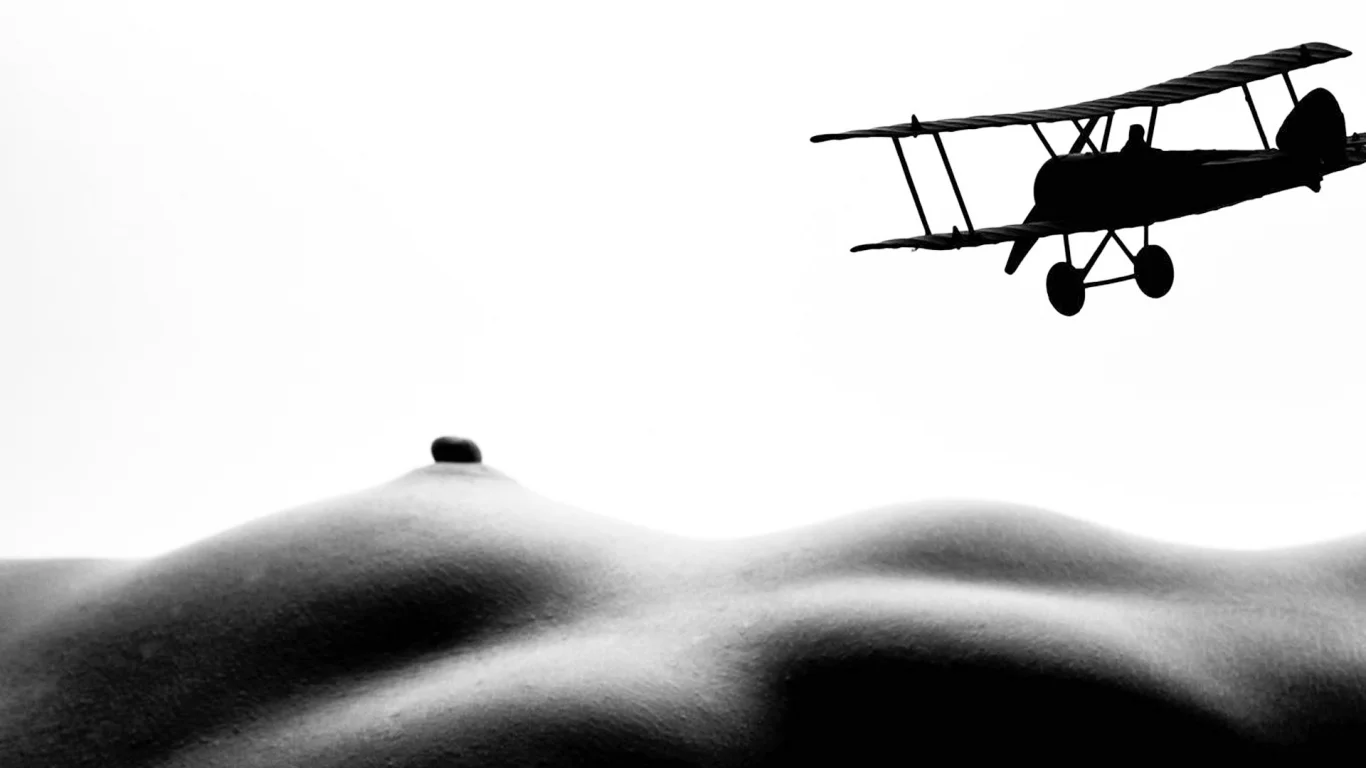 bodyscapes, арт, искусство, винтаж, девушка, секси, голая, тело, модель, красивая, животик, фигура, крупно, поза, сиськи, соски, сосок, грудь, самолет