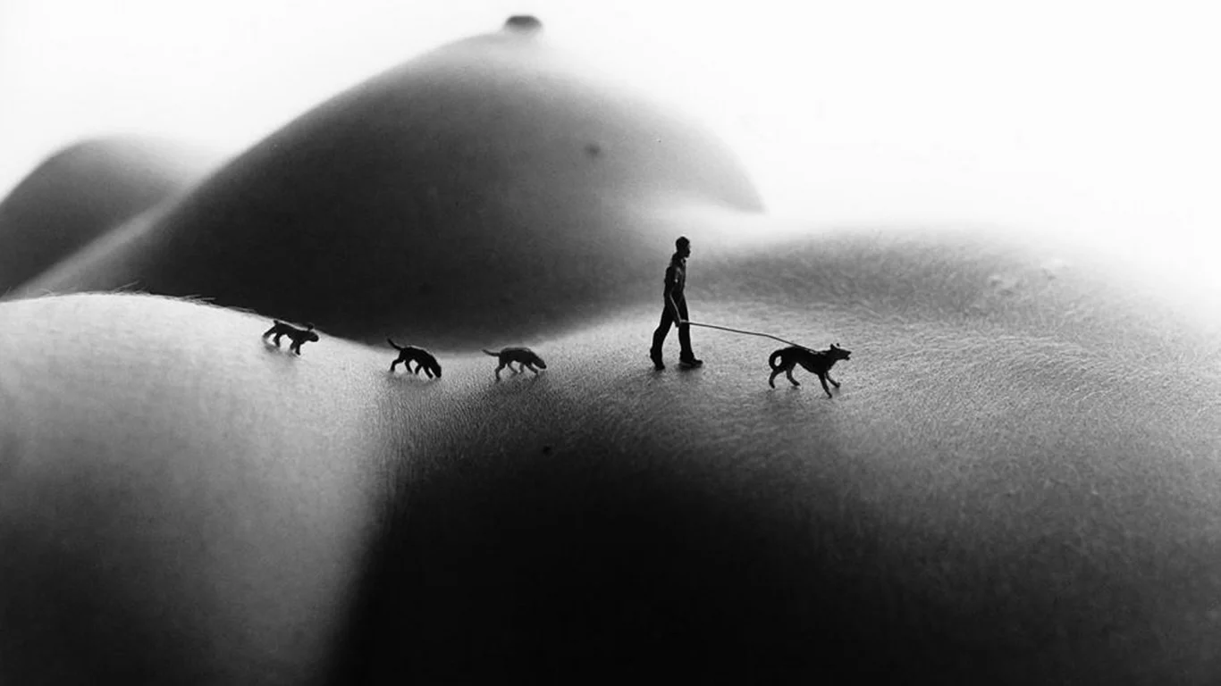 bodyscapes, арт, искусство, винтаж, девушка, секси, голая, тело, модель, красивая, животик, фигура, крупно, поза, сиськи, соски, сосок, грудь, ноги, собака