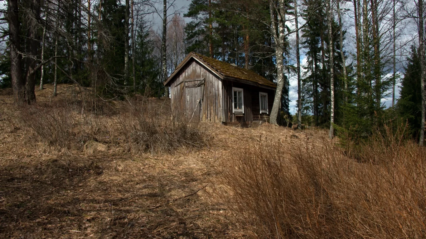 дом, лес