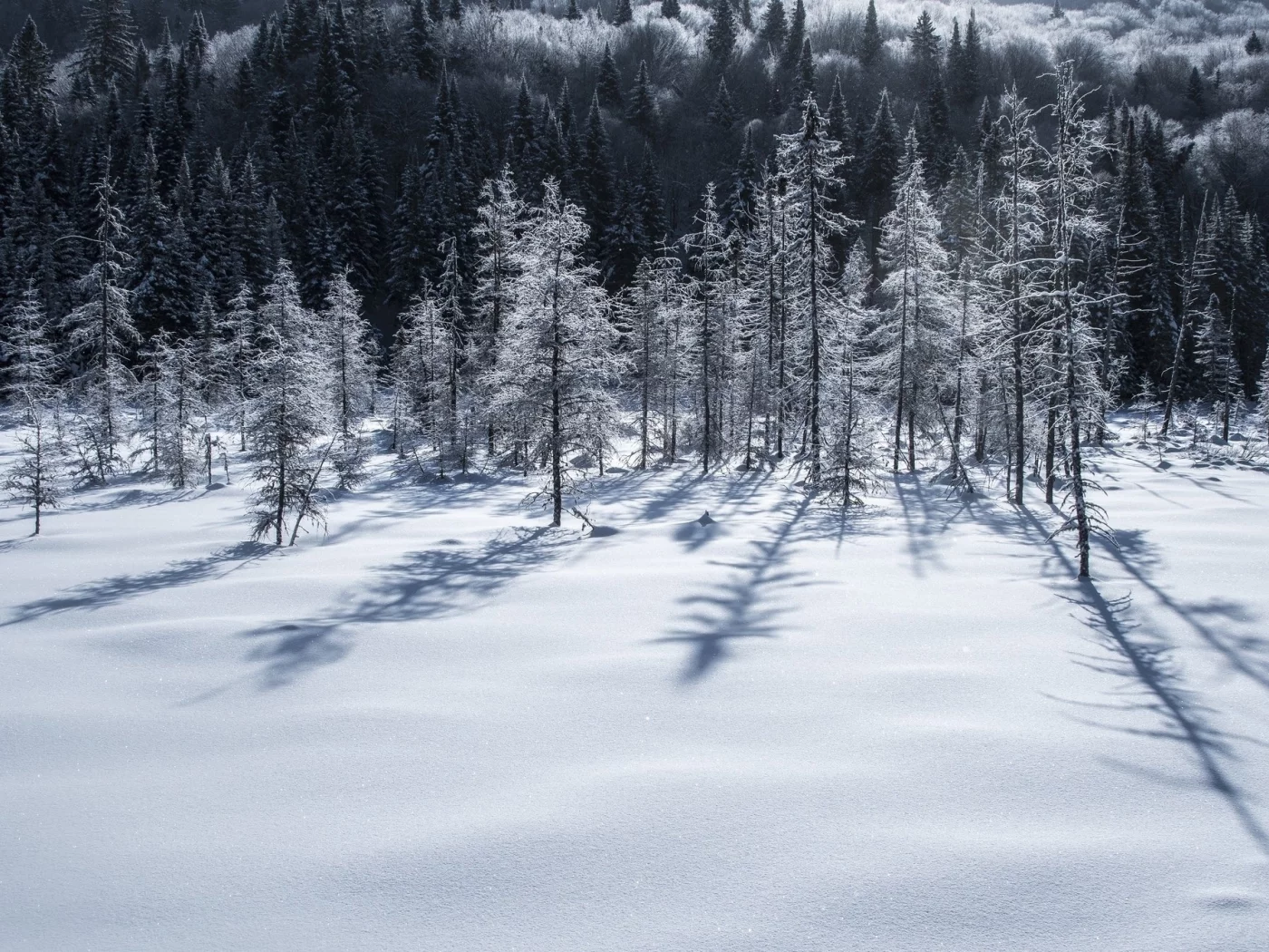 пейзаж, природа, красота