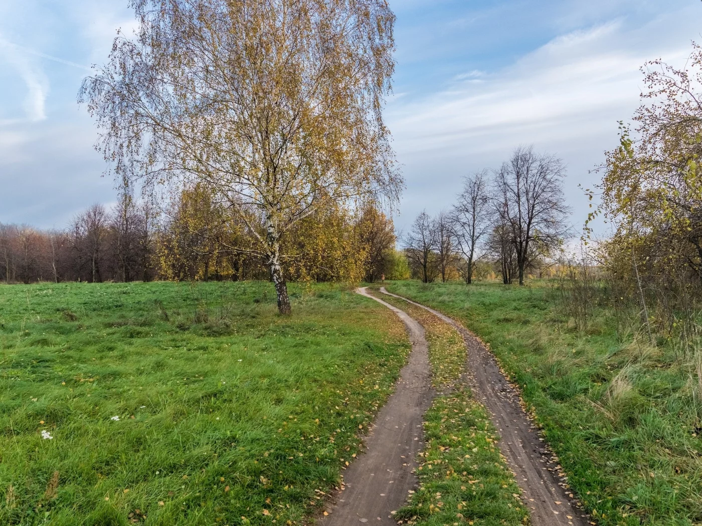 пейзаж, природа, красота