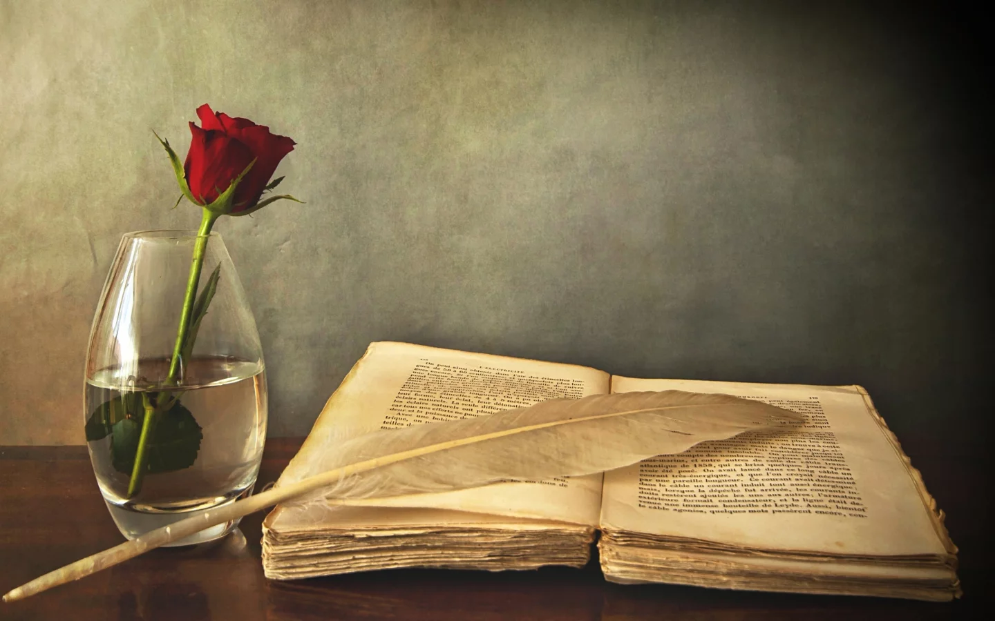 цветок, перо, книга