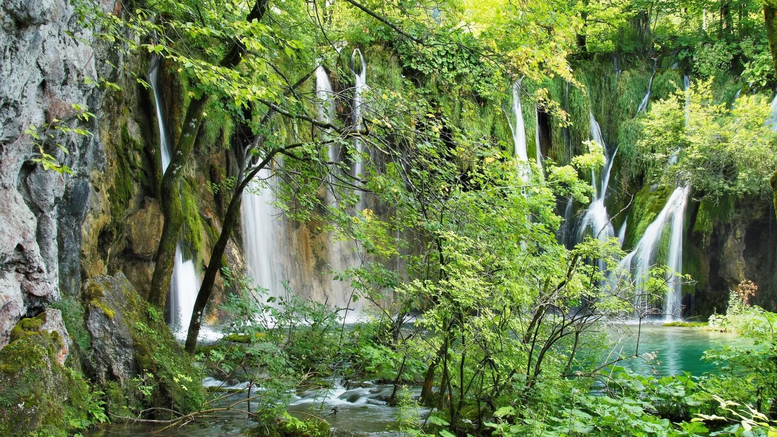 пейзаж, природа, красота