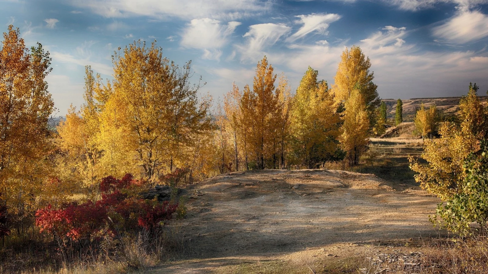 пейзаж, природа, красота