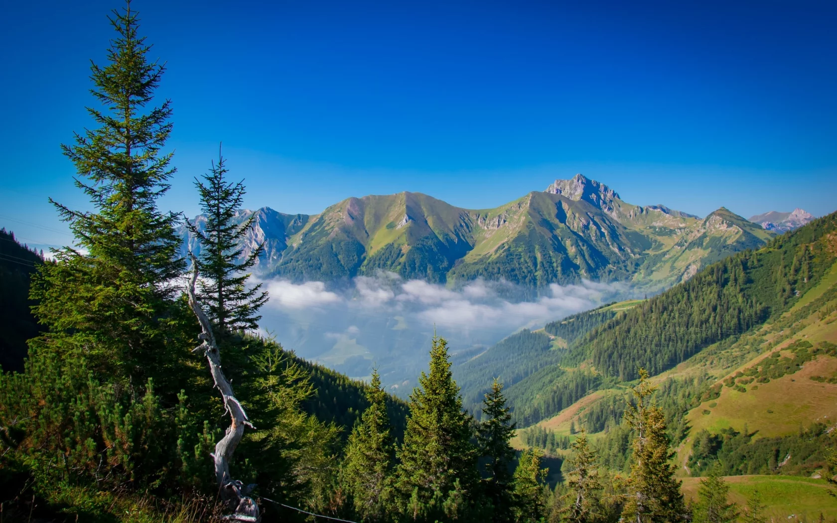 пейзаж, природа, красота