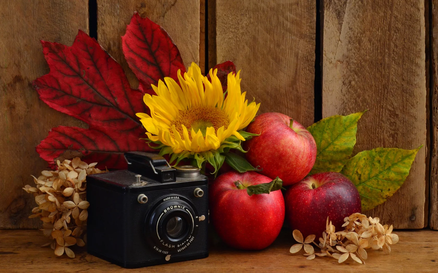 цветы, фрукты, фотоаппарат