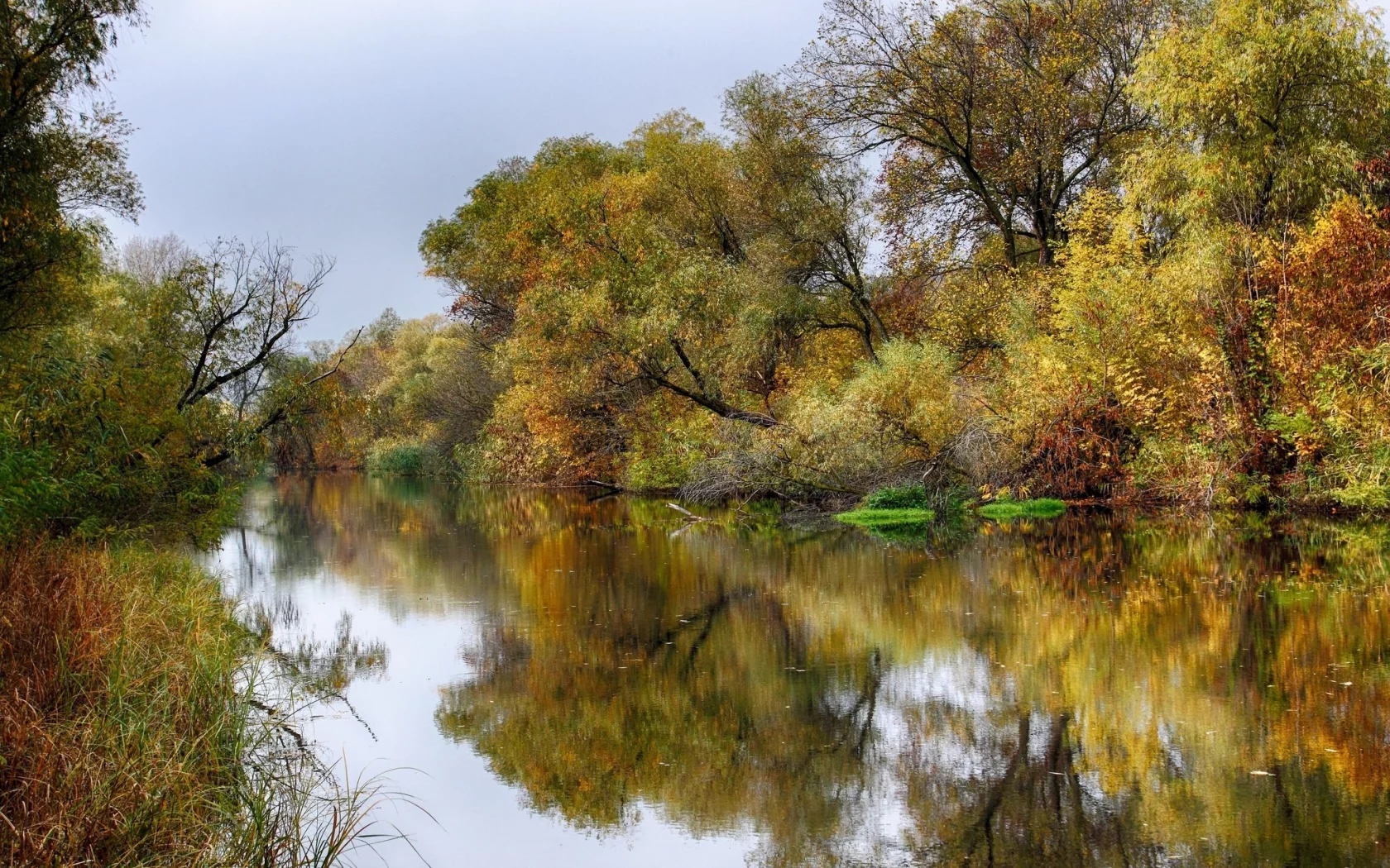 пейзаж, природа, красота