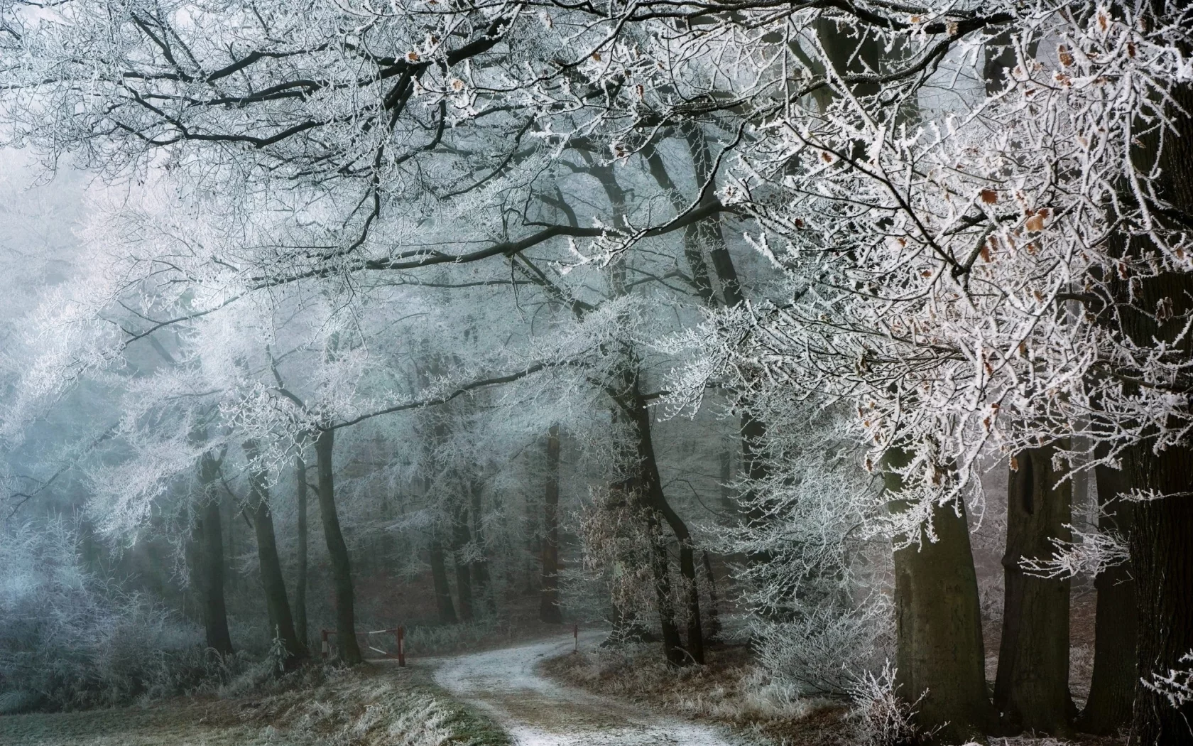 пейзаж, природа, красота