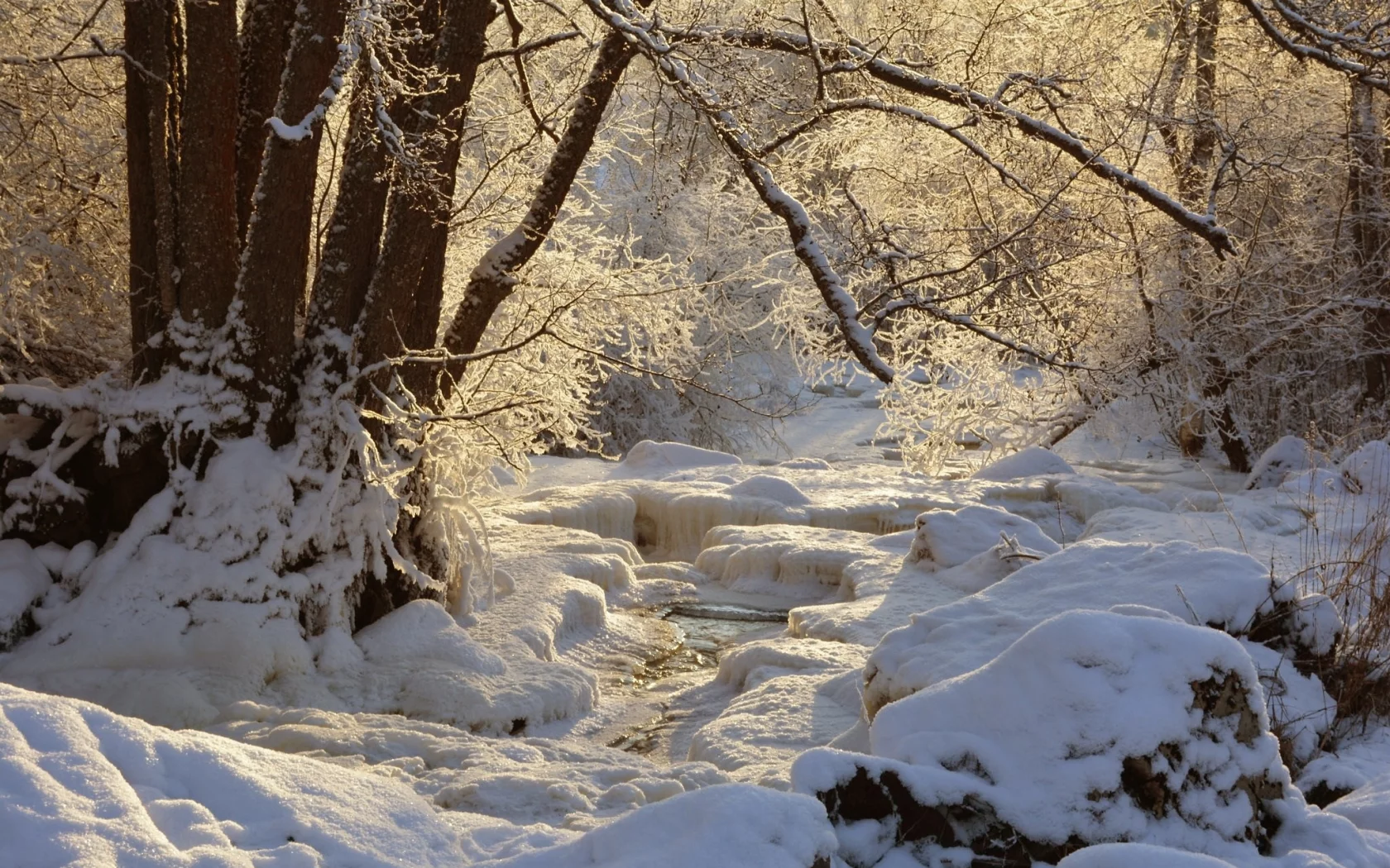 пейзаж, природа, красота
