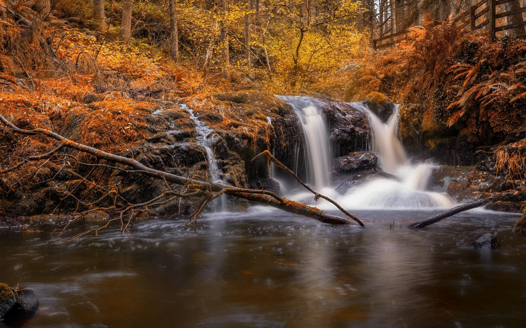 пейзаж, природа, красота