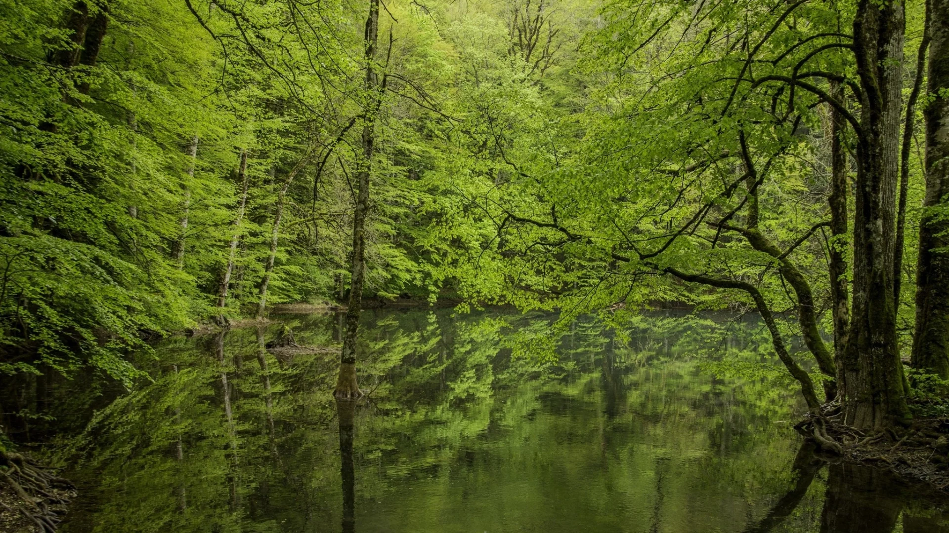пейзаж, природа, красота