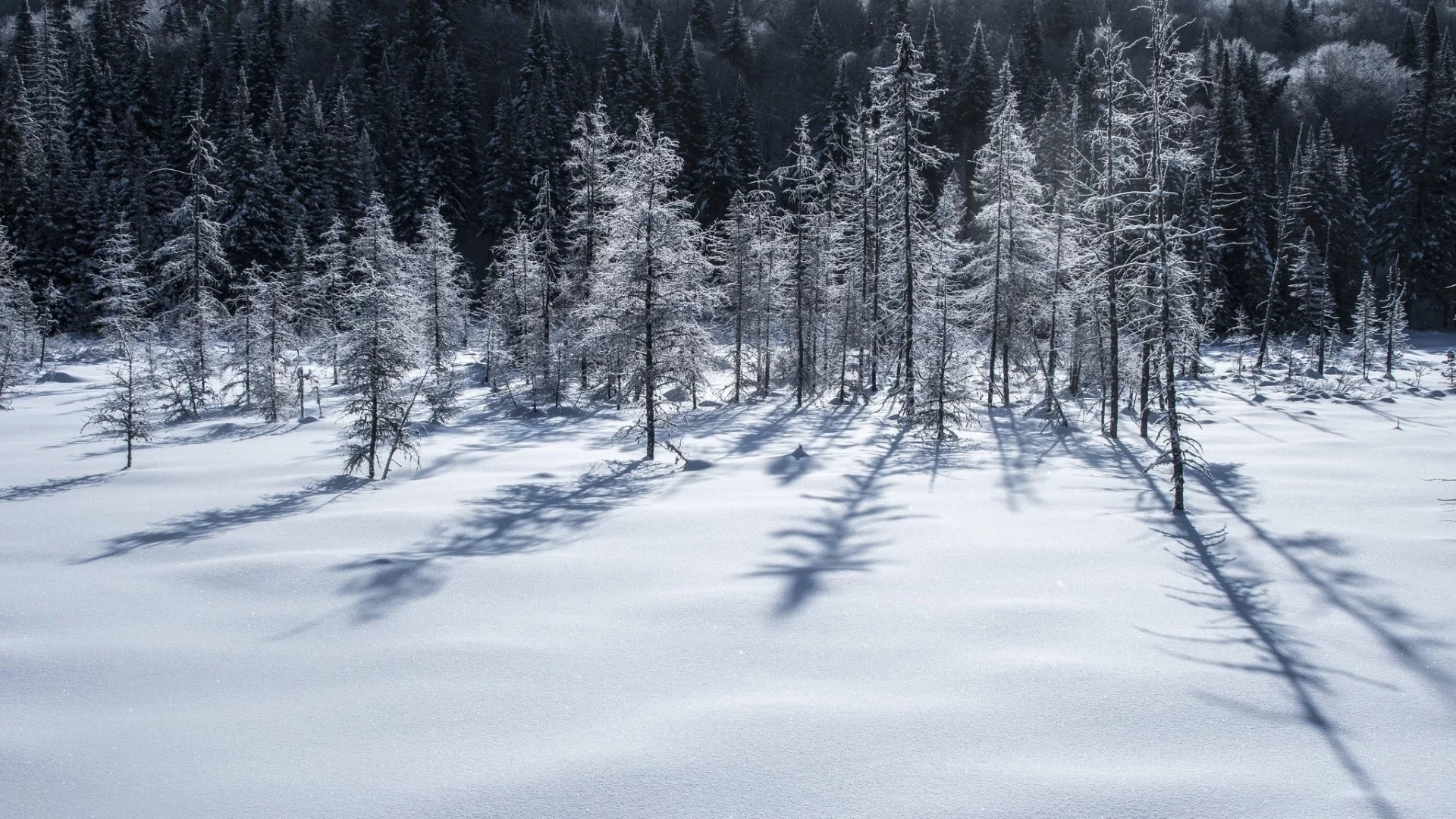 пейзаж, природа, красота