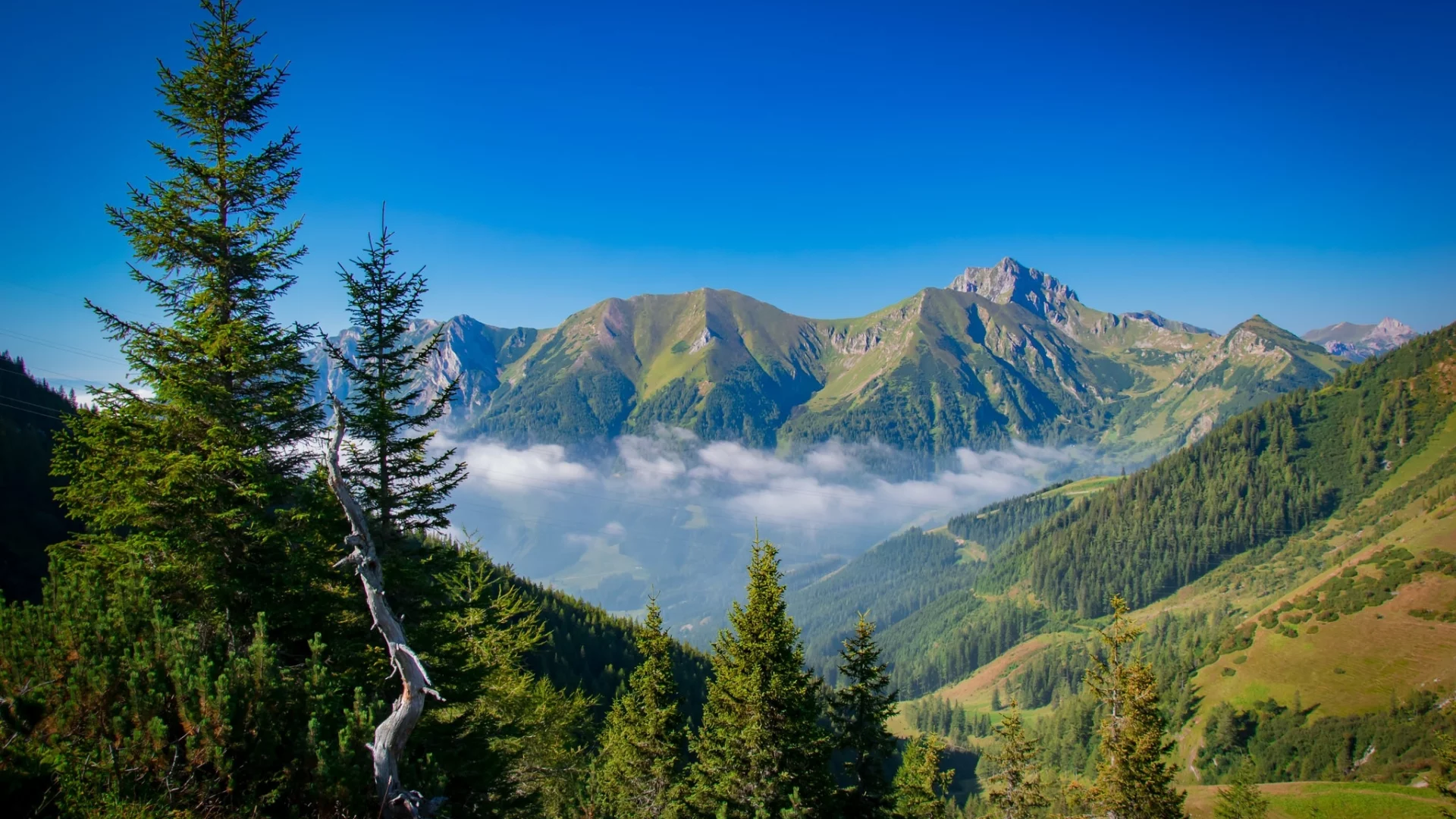 пейзаж, природа, красота