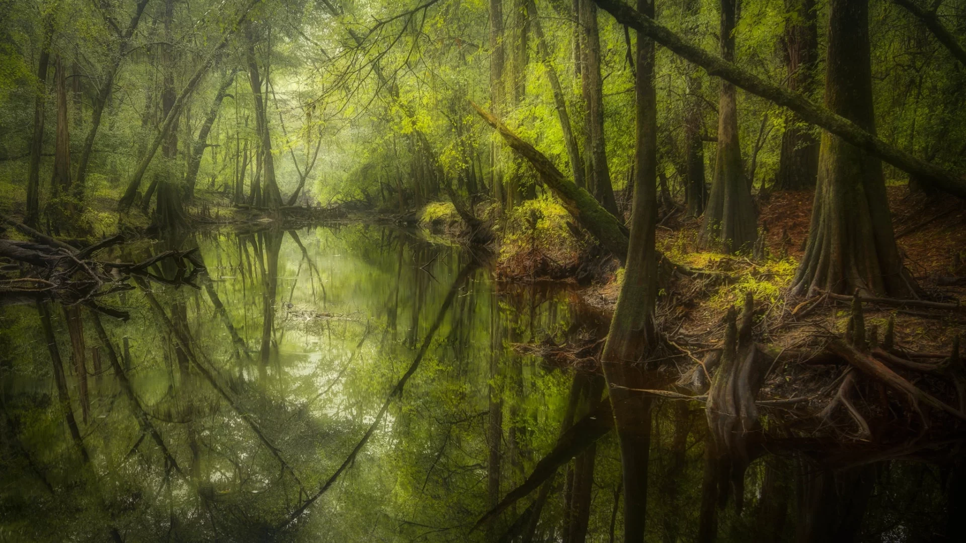 пейзаж, природа, красота