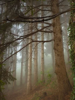 пейзаж, природа, красота