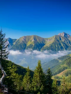 пейзаж, природа, красота
